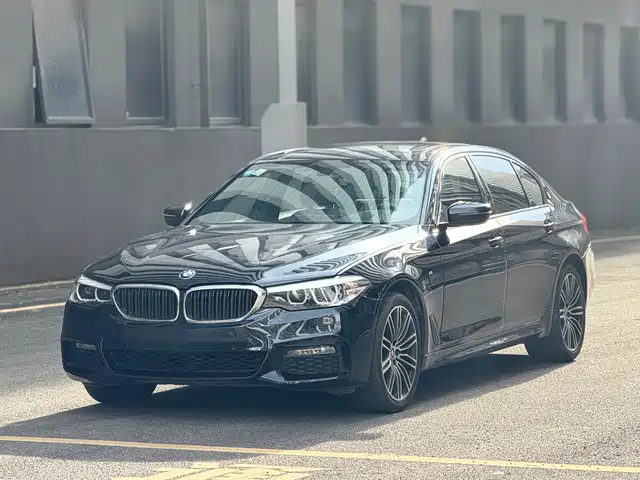 BMW 5 Series 2019 530Li Leading M Sport Package