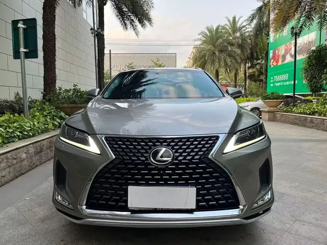 Lexus RX 2020 300 2WD Elite Edition China VI