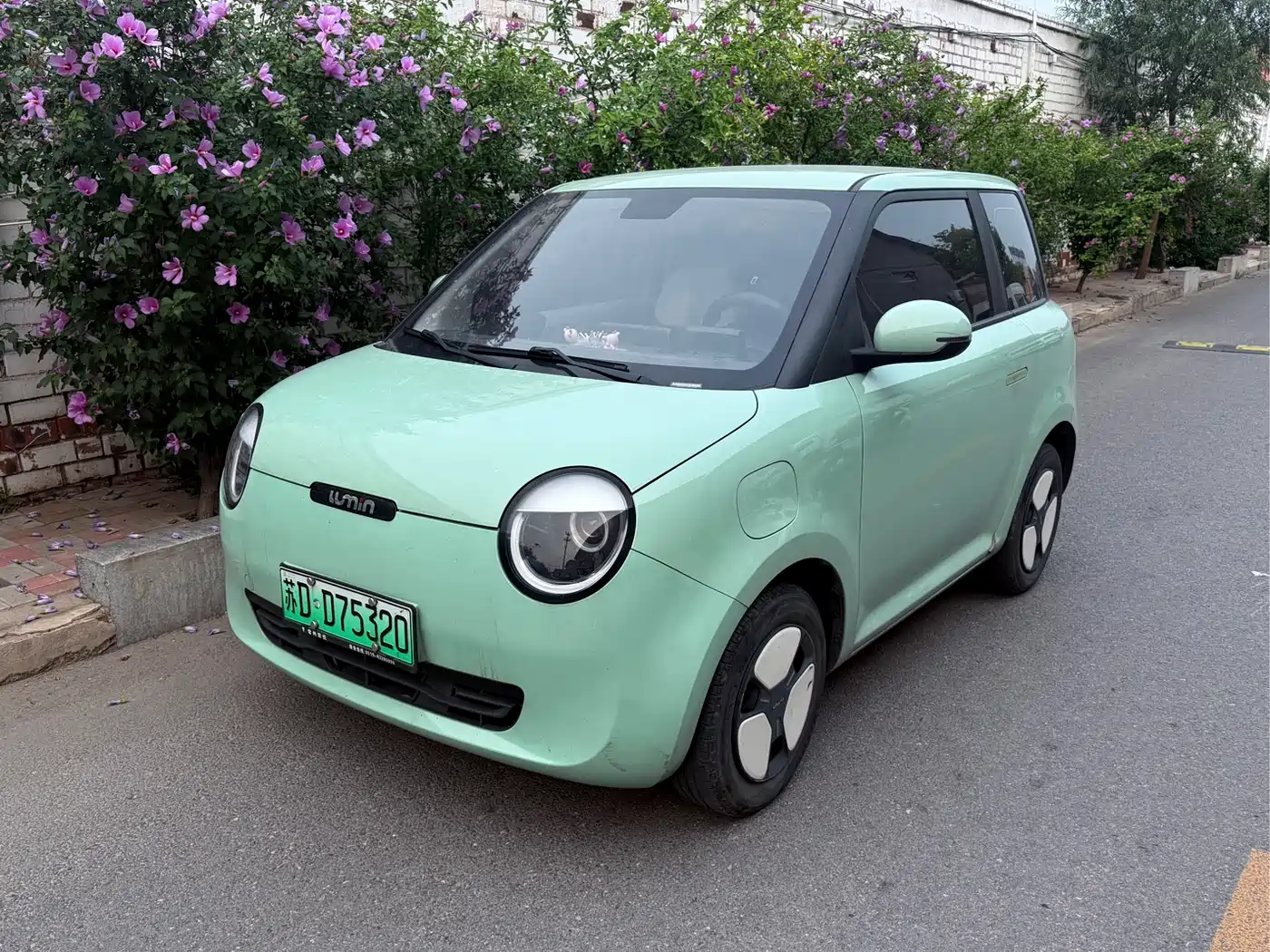Changan Qiyuan Changan Lumin 2022 155km Fresh Edition