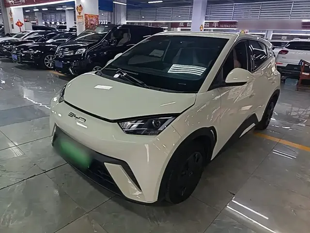 BYD Seagull 2023 Vitality Edition