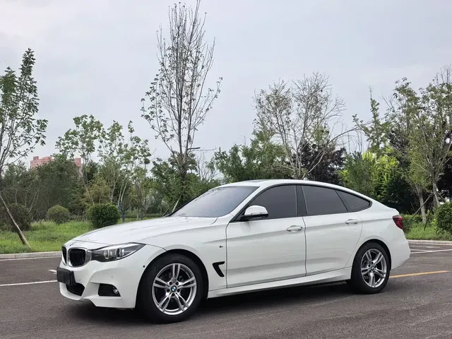 BMW 3 Series GT 2019 320i M Sport Package