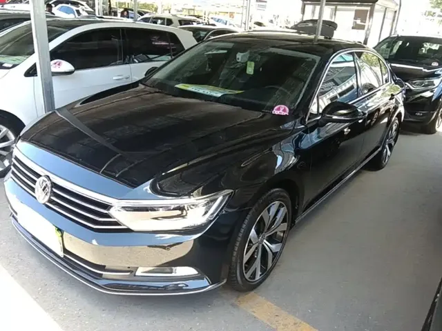 Volkswagen Magotan 2019 330TSI DSG Luxury Class China VI