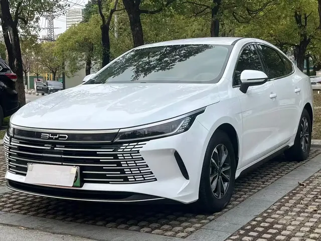 BYD Destroyer 05 2024 Glory Edition DM-i 55KM Luxury