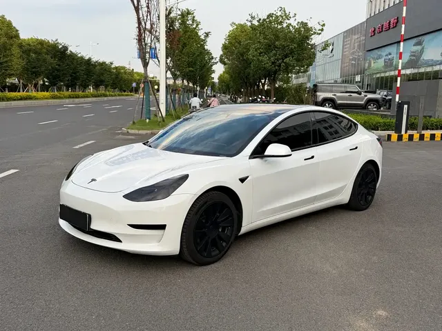 Tesla Model 3 2021 Standard Range Rear-Wheel Drive Upgrade