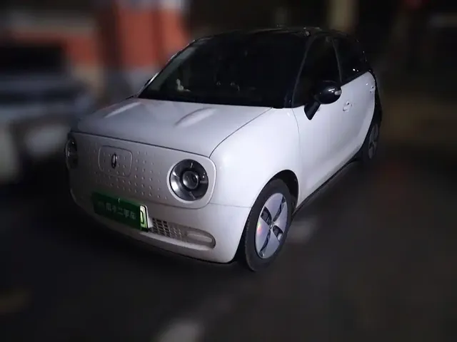 Ora Black Cat 2022 Facelift 301km Pet Edition LFP Version