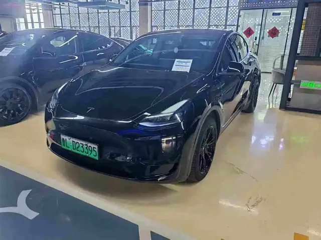 Tesla Model Y 2022 Rear-Wheel Drive Version