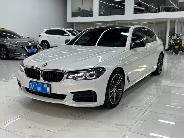 BMW 5 Series 2020 530Li Leading M Sport Package