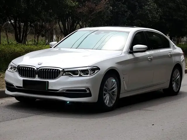 BMW 5 Series New Energy 2019 Facelift 530Le Luxury Package