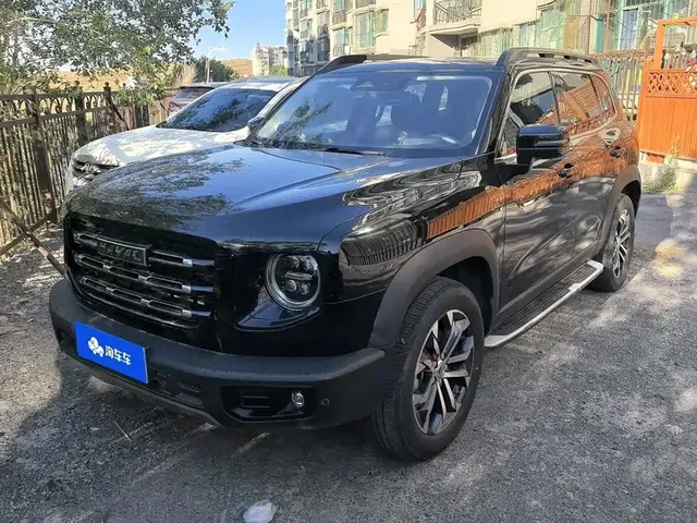 Haval Big Dog 2021 1.5T DCT 2WD Border Collie Edition