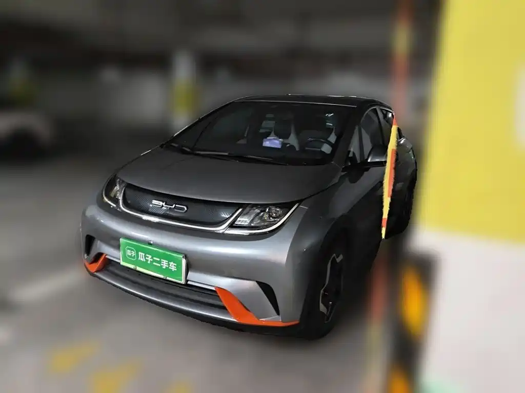 BYD Dolphin 2021 405km Freedom Edition