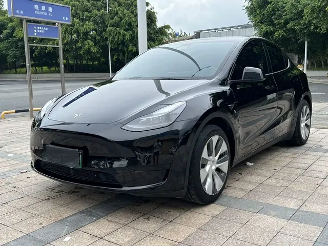 Tesla Model Y 2022 Rear-Wheel Drive Version