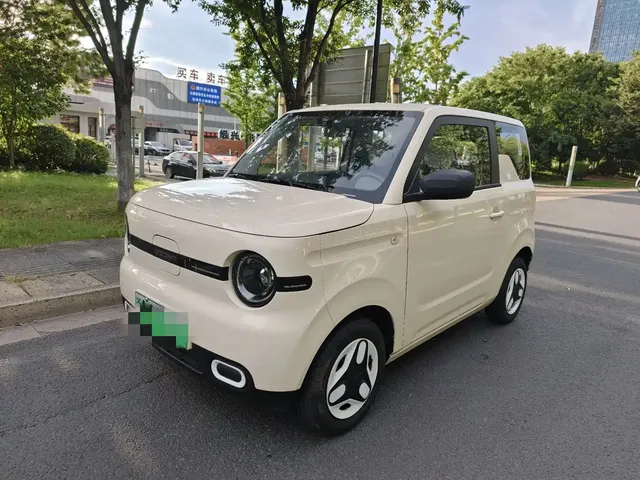 Geely Galaxy Panda 2025 Panda mini 210km Vitality Bear