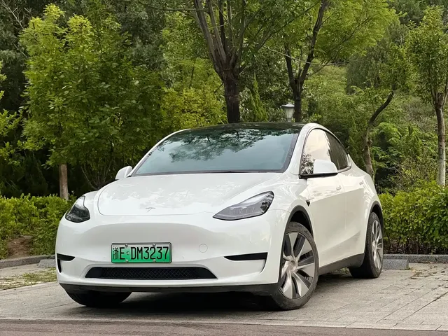 Tesla Model Y 2022 Rear-Wheel Drive Version