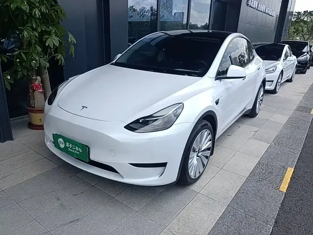 Tesla Model Y 2022 Rear-Wheel Drive Version