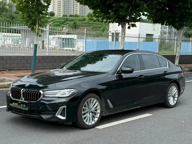 BMW 5 Series New Energy 2021 535Le Luxury Package