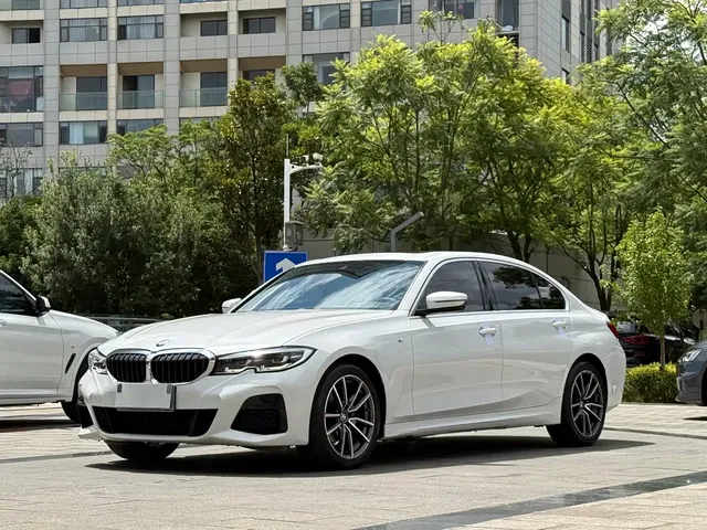 BMW 3 Series 2020 325Li M Sport Package