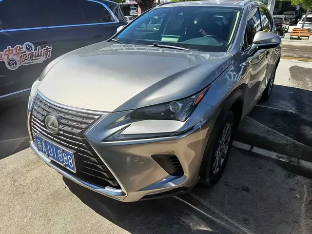 Lexus NX 2020 200 AWD F Sport China V