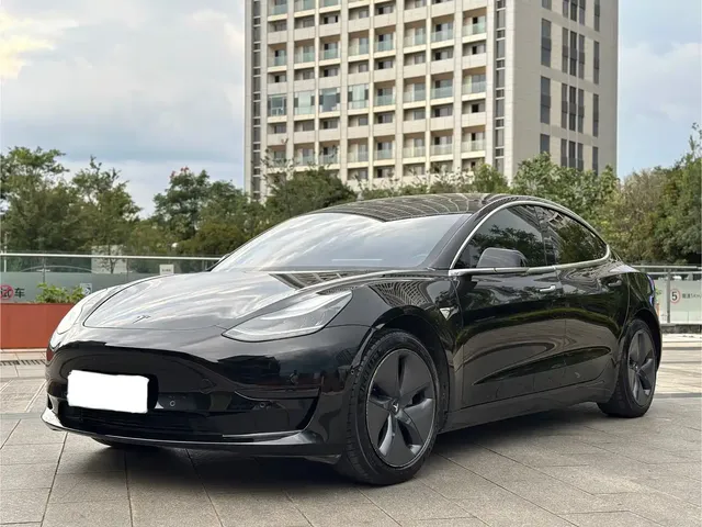 Tesla Model 3 2020 Standard Range Rear-Wheel Drive Upgrade