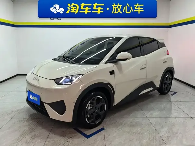 BYD Seagull 2025 Smart Drive Edition 305km Freedom Version