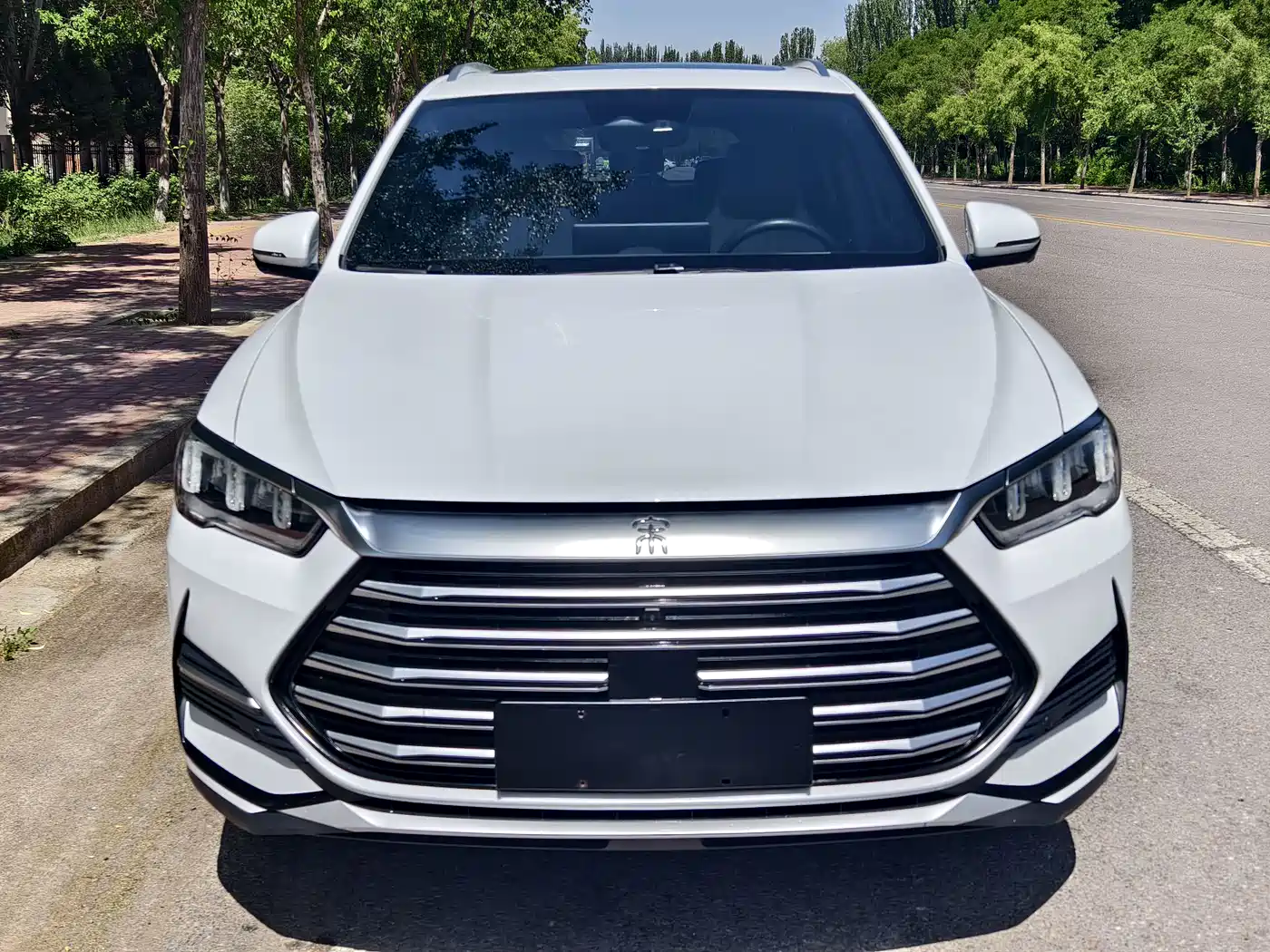 BYD Song Pro New Energy 2023 Champion Edition DM-i 110KM Excellence
