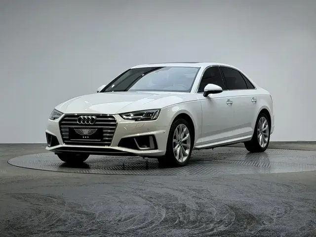 Audi A4L 2019 40 TFSI Fashion (China VI)