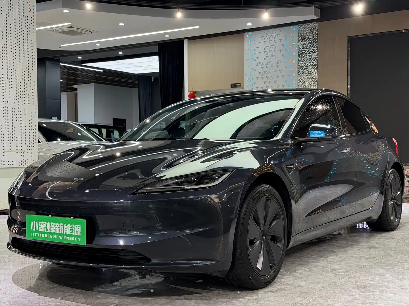 Tesla Model 3 2025 Model Rear-Wheel Drive Edition