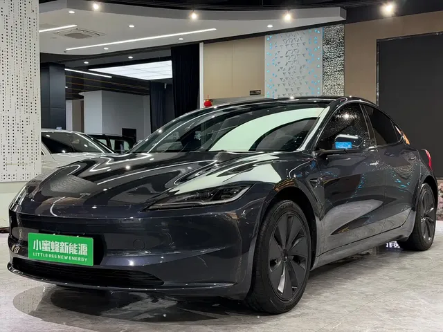 Tesla Model 3 2025 Model Rear-Wheel Drive Edition