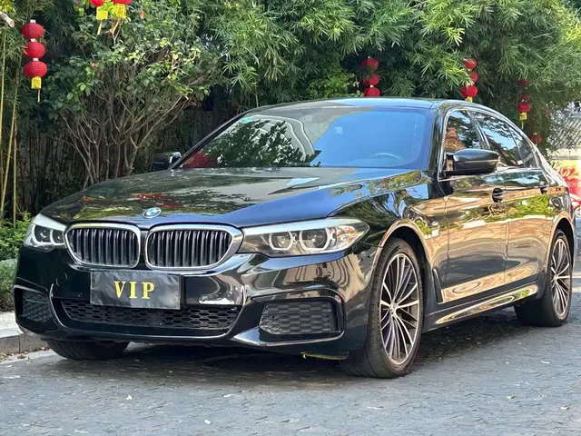 BMW 5 Series 2019 530Li Leading M Sport Package