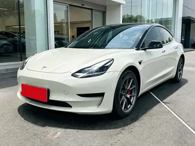 Tesla Model 3 2022 Model Rear-Wheel Drive Version