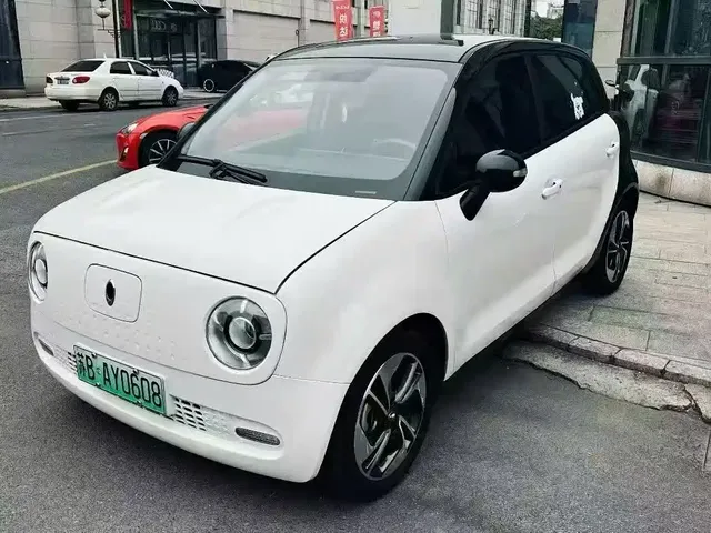 Ora Black Cat 2022 301km Cute Pet Edition (LFP)