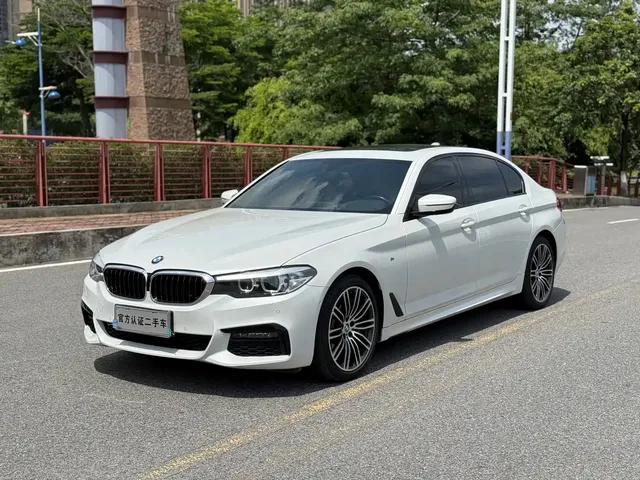 BMW 5 Series 2019 530Li xDrive M Sport Package