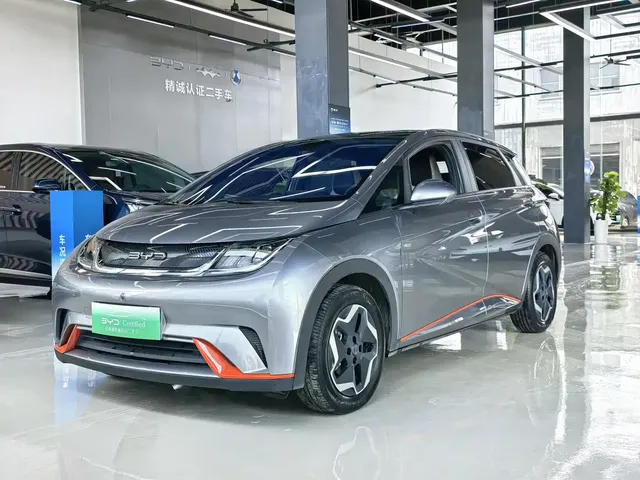 BYD Dolphin 2021 405km Freedom Edition