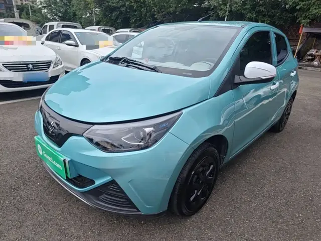 JMCG New Energy Little Kirin 2023 Model Lucky Edition 201km Luxury