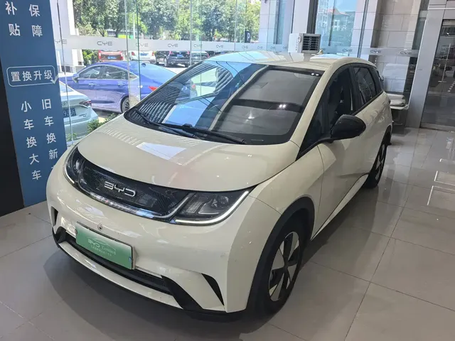 BYD Dolphin 2023 420km Freedom Edition