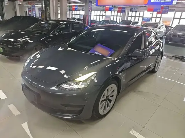 Tesla Model 3 2021 Standard Range Rear-Wheel Drive Upgrade 3D6