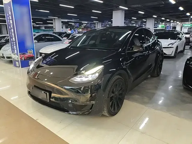 Tesla Model Y 2022 Rear-Wheel Drive Version
