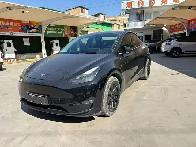 Tesla Model Y 2021 Standard Range Rear-Wheel Drive