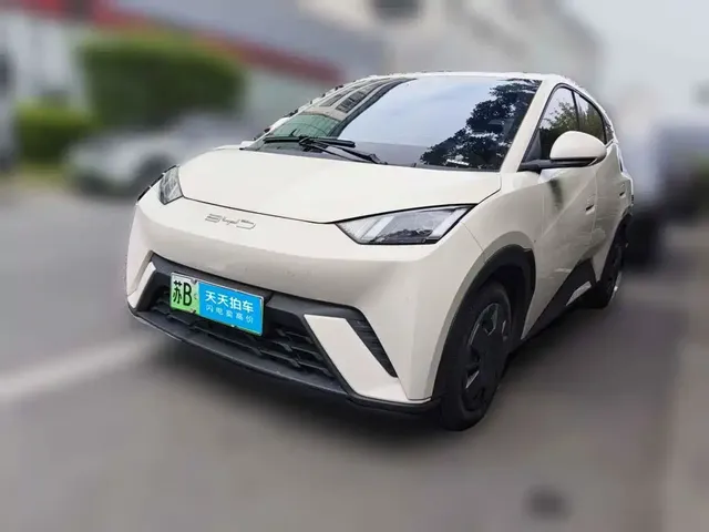 BYD Seagull 2024 Glory Edition 305km Vitality Edition
