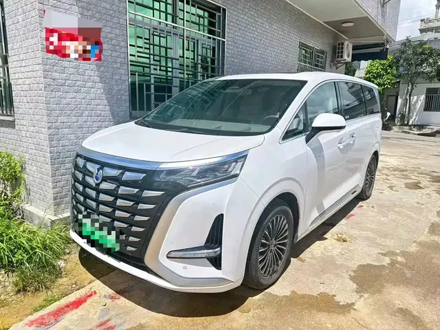 Denza D9 2022 DM-i 970 All-Wheel Drive Honor Edition