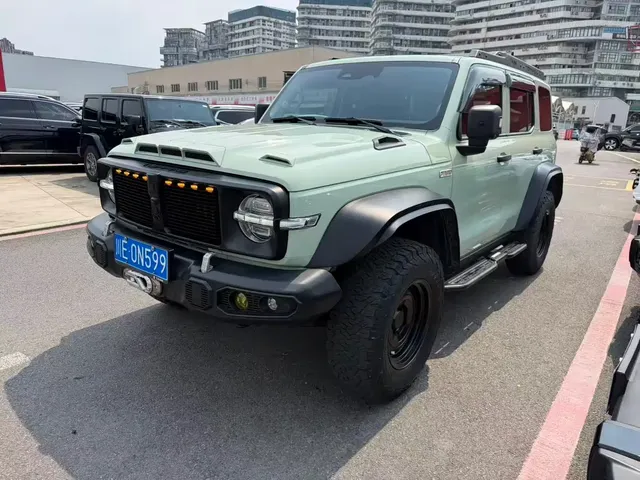 Tank 300 2021 2.0T Wind Forest Iron Cavalry