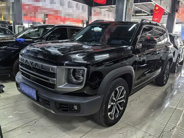 Haval Big Dog 2024 1.5T DCT Border Collie Edition