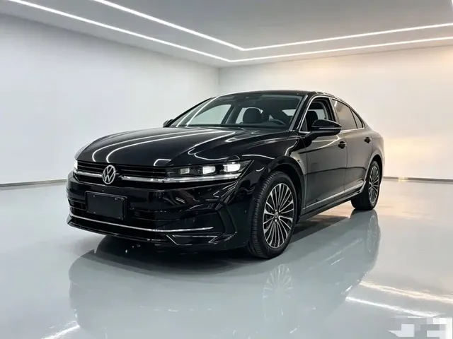 Volkswagen Magotan 2024 380TSI DSG Luxury Edition (Daimai Package)