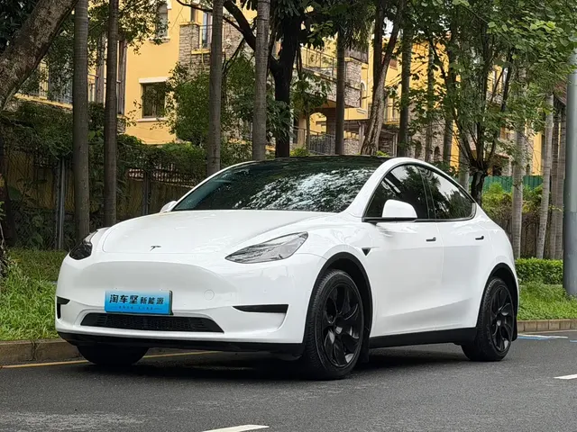 Tesla Model Y 2022 Rear-Wheel Drive Version