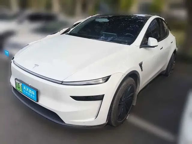 Tesla Model Y 2025 Rear-Wheel Drive
