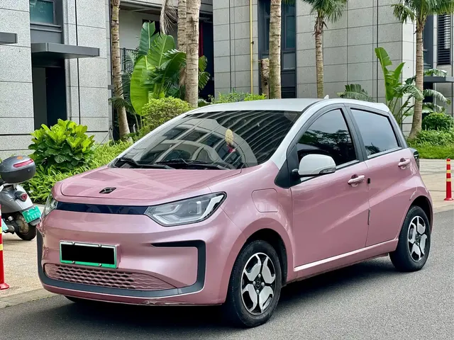 Sehol Flower Fairy 2021 302km Luxury 30.2kWh