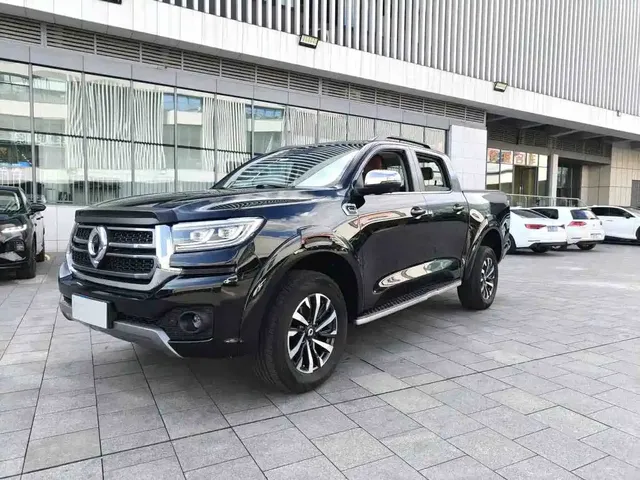 Great Wall Pao 2023 2.0T Passenger Automatic Gasoline 4WD Sport GW4C20B