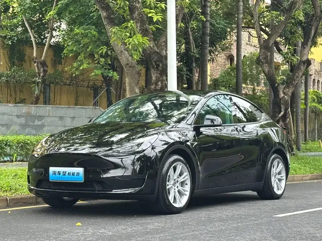 Tesla Model Y 2022 Rear-Wheel Drive Version