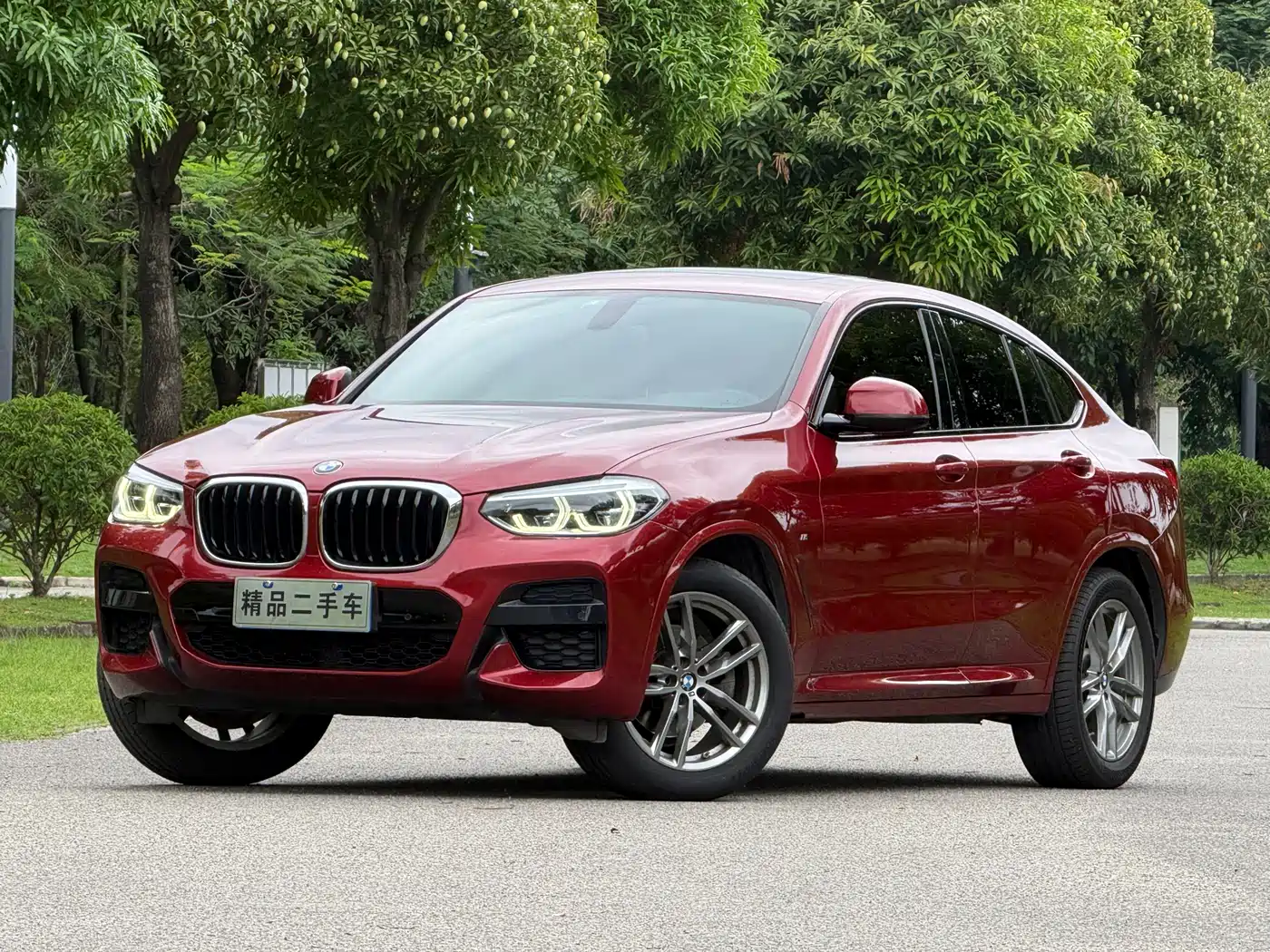 BMW X4 2020 xDrive25i M Sport Package