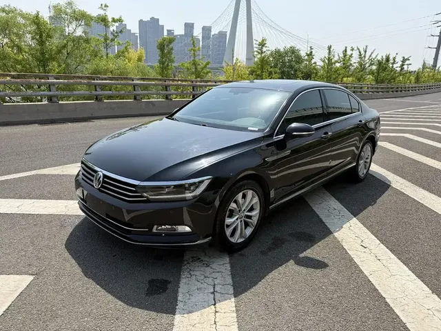 Volkswagen Magotan 2019 330TSI DSG Luxury Class China VI