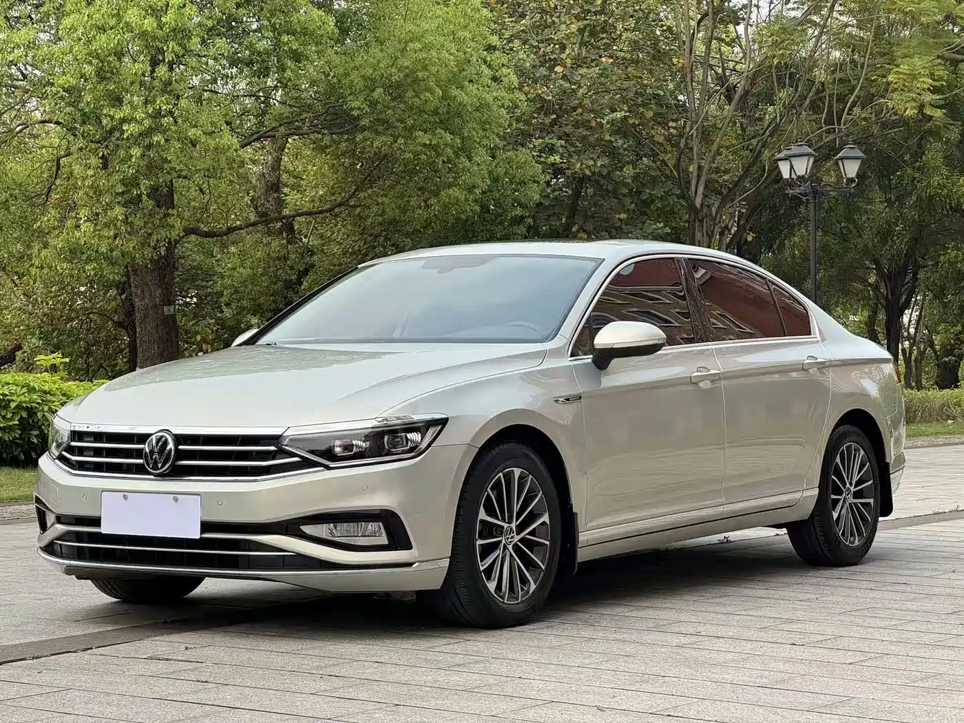 Volkswagen Magotan 2020 330TSI DSG Luxury